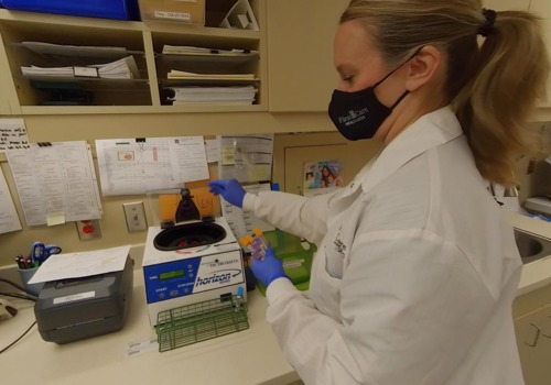 Blood sample vials are placed inside a centrifuge by a clinical lab technician.